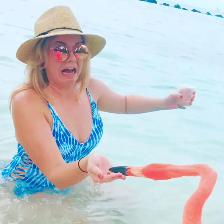 Flamingo Frenzy