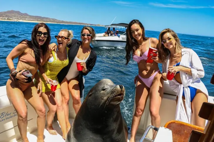 Aquatic Celebrity and Some Fans
