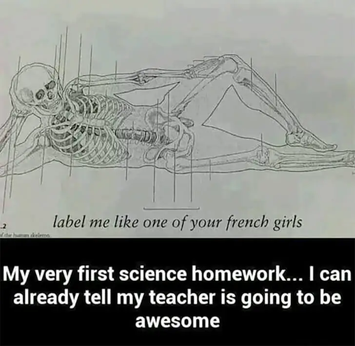 Humorous Bones in Science Class