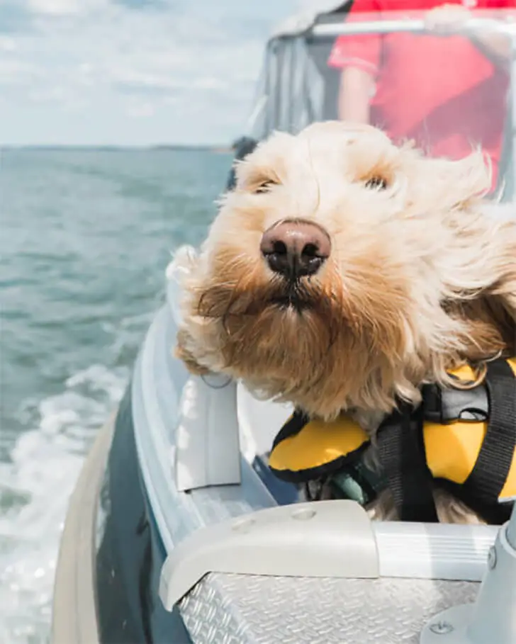 Living the best Life