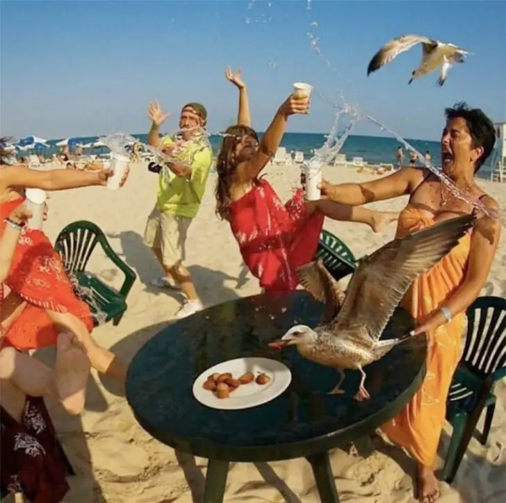 Nugget Heist: Seagulls Strike Again
