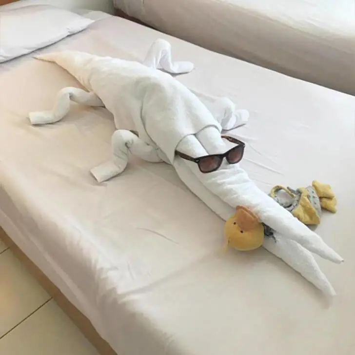 Die Handtuch-Kreatur: Alligator oder Krokodil?