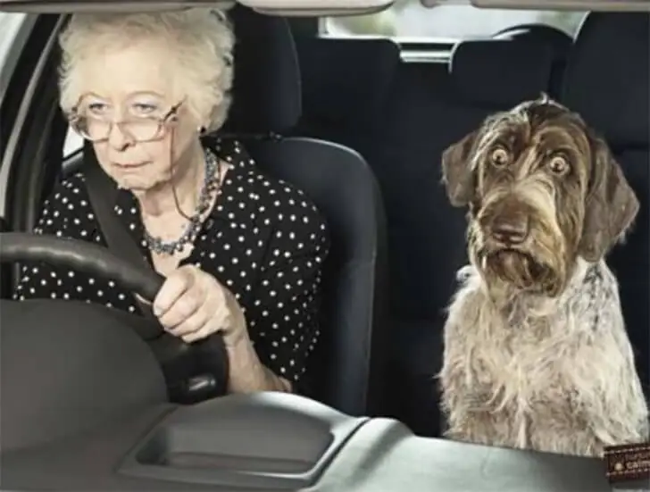 Granny’s Turbo Charge