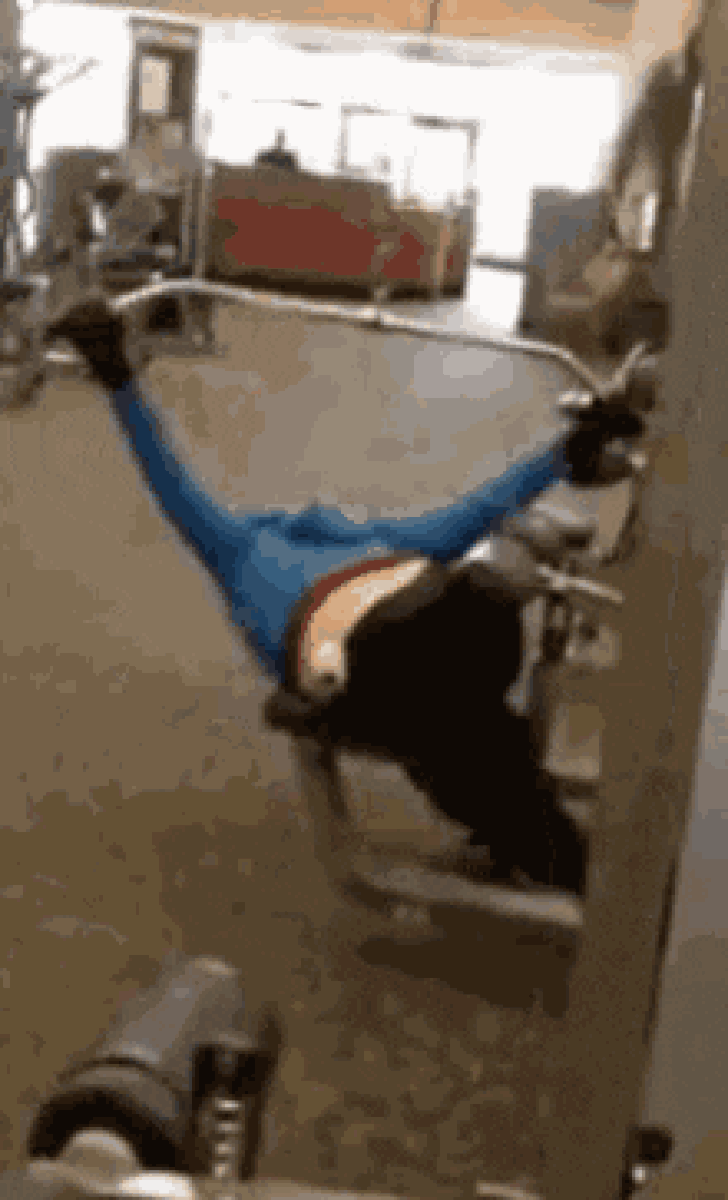 Kreative Körperkunst oder Fitness-Fauxpas?