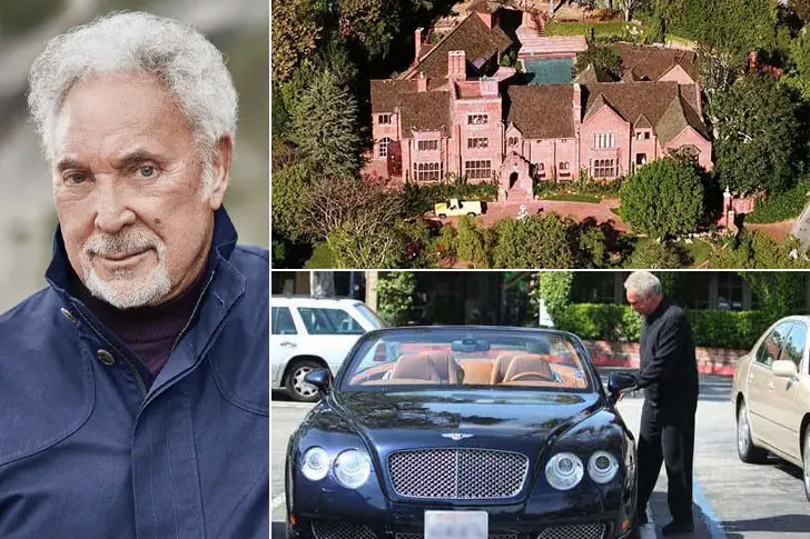 Tom Jones: Muzikant – $300 Miljoen