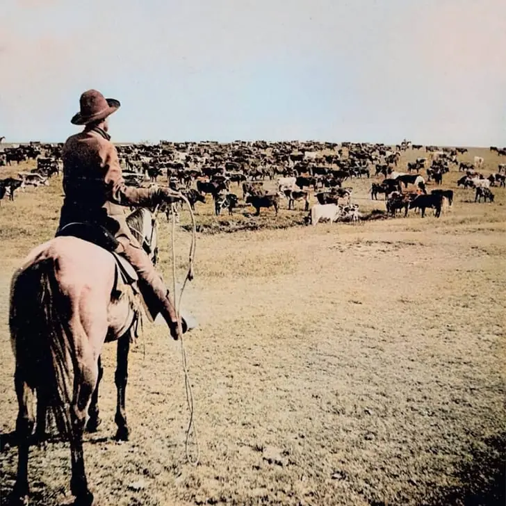 Cowboy With Lasso –  1902