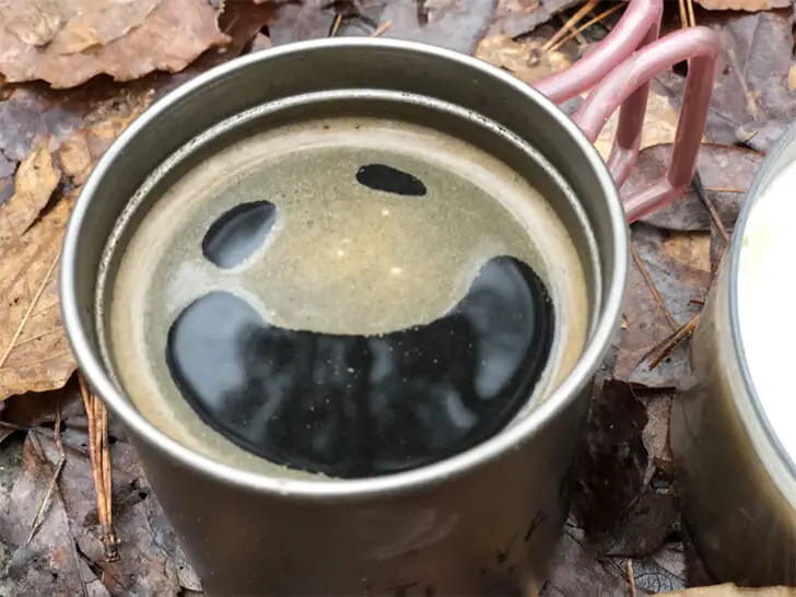 Wenn der Morgen im Wald lächelt