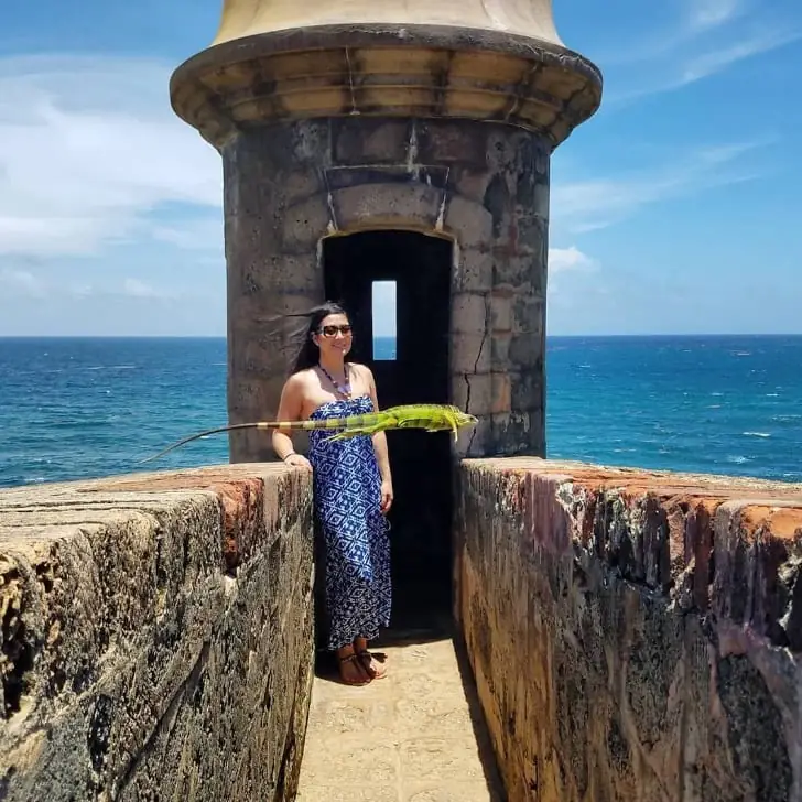 Leapin’ Lizards at El Morro