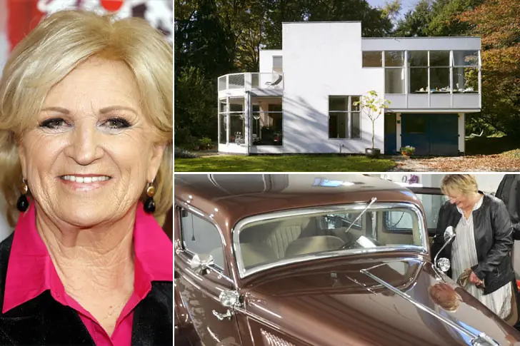 Anita Meyer, Zangeres – Enkele miljoenen euros