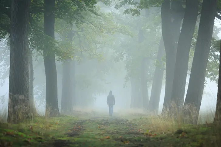 Les autorités semblaient peu concernées par les révélations du garde forestier