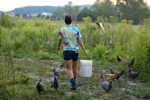 Why Homesteading Is Gaining Popularity Among Millennials