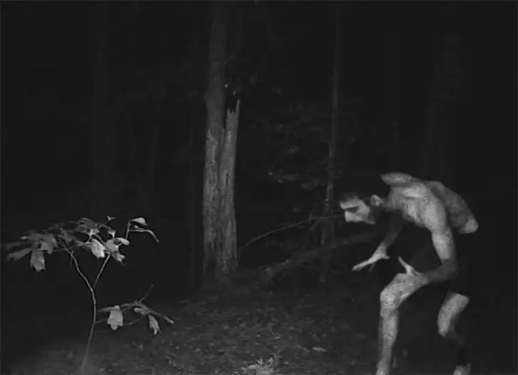 The Everglades Night Crawler