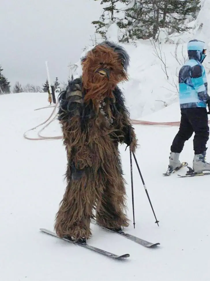 When a Furry Phenomenon Goes Skiing