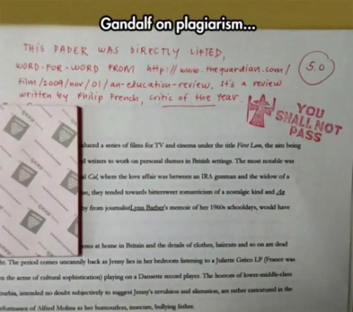 A Wizardly Warning on Plagiarism