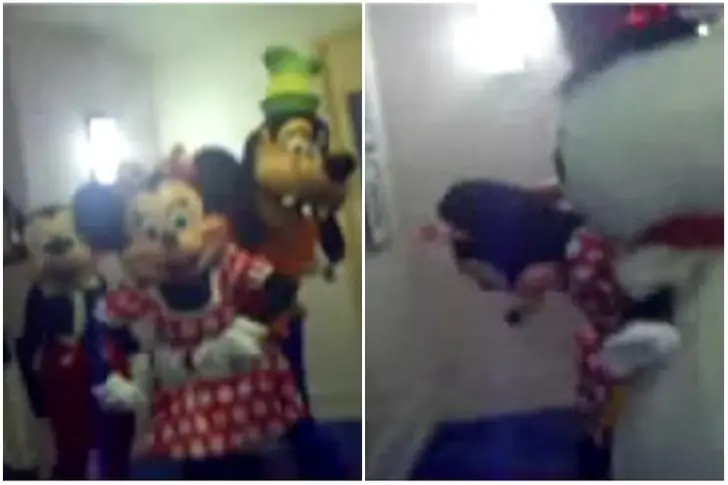 The Mouses Caught Misbehaving