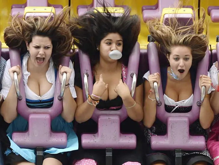 Roller Coaster Thrills and Giggles