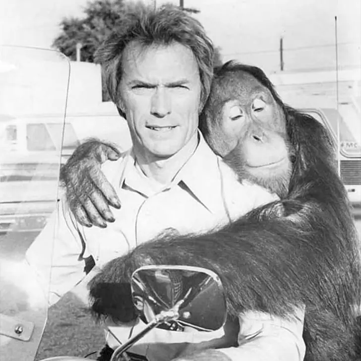 Clint Eastwood & His Kiss-Blowing Friend, Manis, In 1978