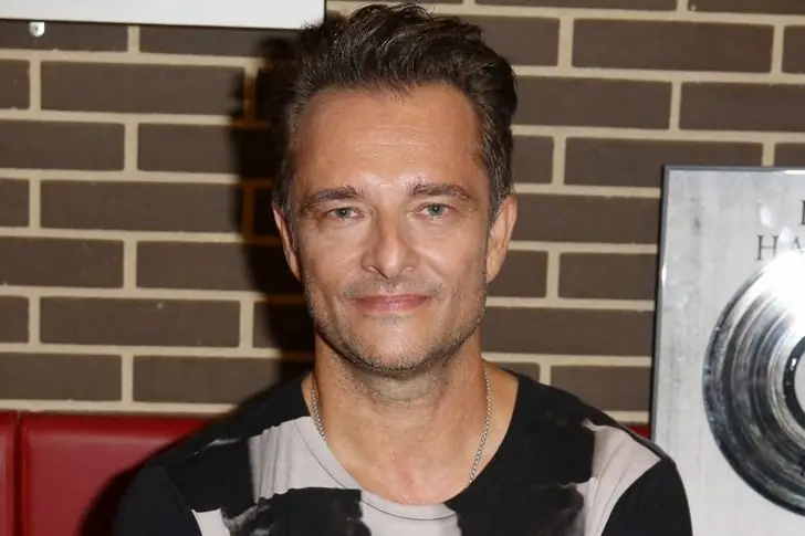 David Hallyday – 800 00 euros par an
