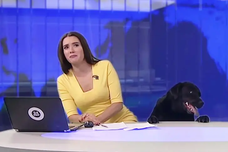 Een Hond in het Huis