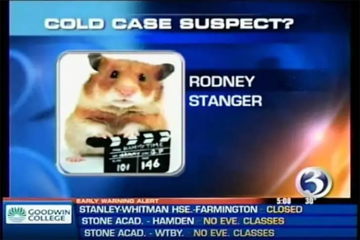 A Hamster in the Headlines