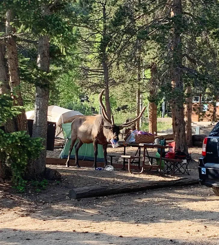 Nature’s Version of DoorDash