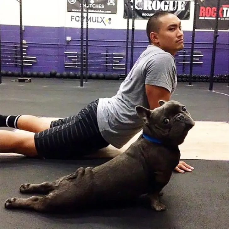 Stretching It Out with Pets