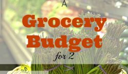 food budget, grocery budget, meal prep, grocery budget for 2, high cost of fresh produce, produce, cheap produce, expensive produce
