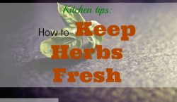 keep herbs fresh, basil, fresh herbs, herbs, kitchen tips, kitchen herb