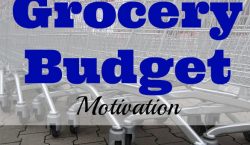 Grocery budget, grocery budget motivation, grocery shopping