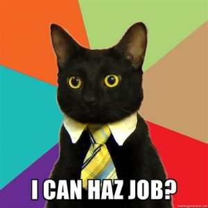 i can haz jobz? excellent benefits, interviewing, negotiating, compensation, benefits, new job, job interview
