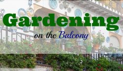 Gardening, grow your own, balcony garden, balcony gardening