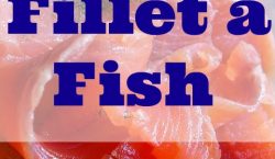 fillet a fish, salmon fillet, fillet, fish, how to fillet