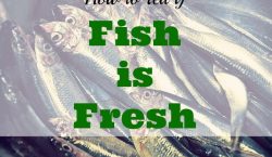 fresh fish, fish market, live catch, fish, salmon, halibut, sea bass