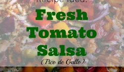 Fresh tomato salsa, salsa recipe, tomatoes
