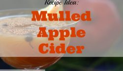 mulled apple cider, holiday drink,