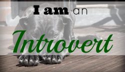 introvert, extrovert, definition of introvert