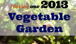 Garden recap, Vegetable Garden, grow your own, vegetables, gardening, community planting