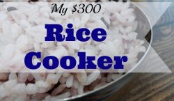 rice cooker, expensive appliances