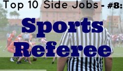 Sports Referee, side job, sports