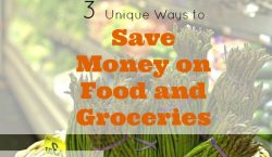 groceries shopping, saving money on food, saving on groceries