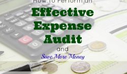 expense audit, saving money, budgeting finances